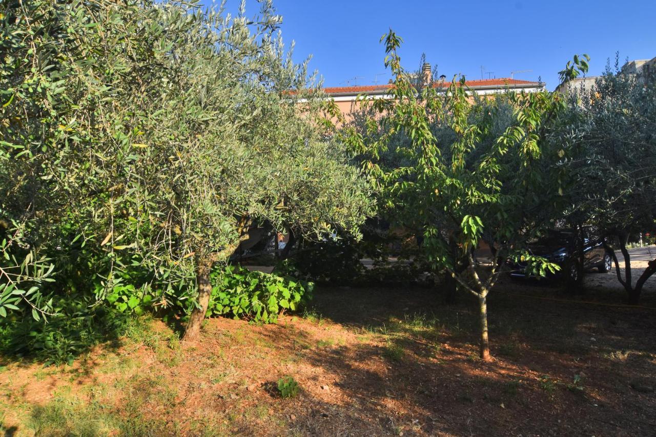 Apartments Edita Zadar Extérieur photo